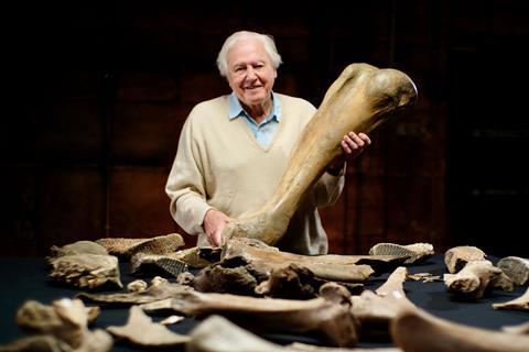 Attenborough And The Mammoth Graveyard (w/t)